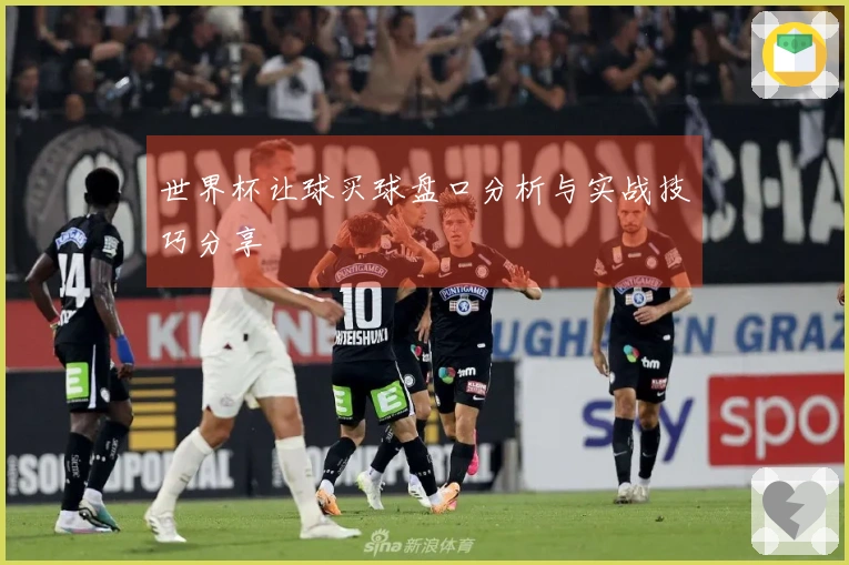 世界杯让球买球盘口分析与实战技巧分享