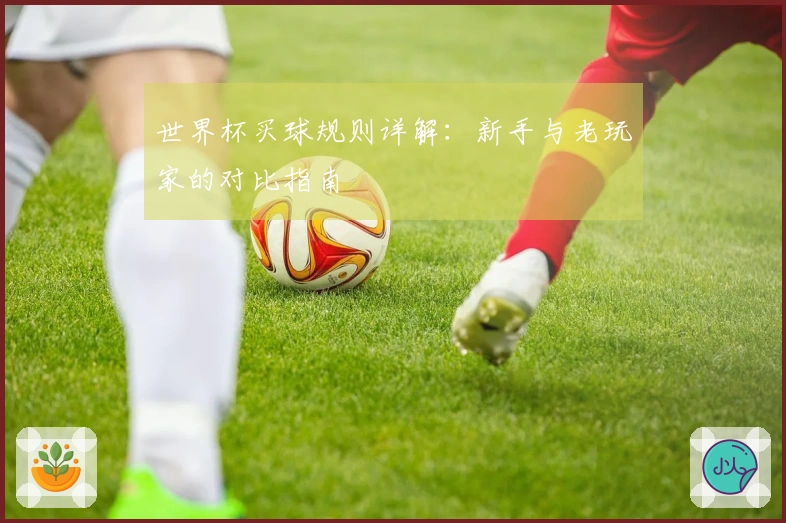 世界杯买球规则详解：新手与老玩家的对比指南