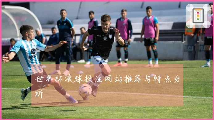 世界杯滚球投注网站推荐与特点分析