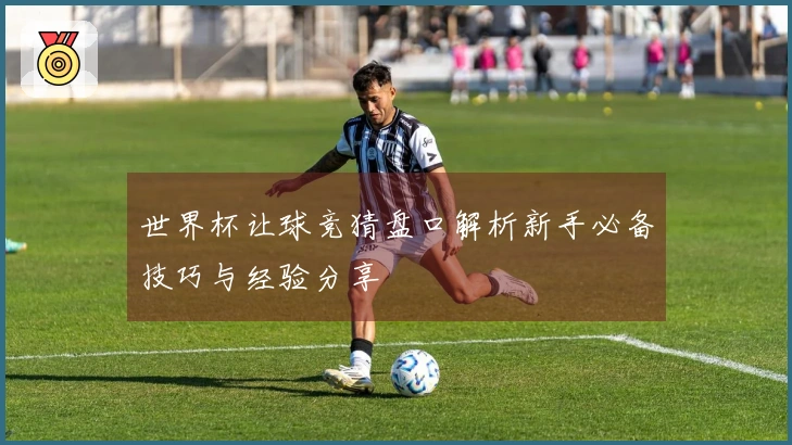 世界杯让球竞猜盘口解析新手必备技巧与经验分享