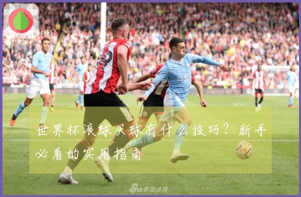 世界杯滚球买球有什么技巧？新手必看的实用指南