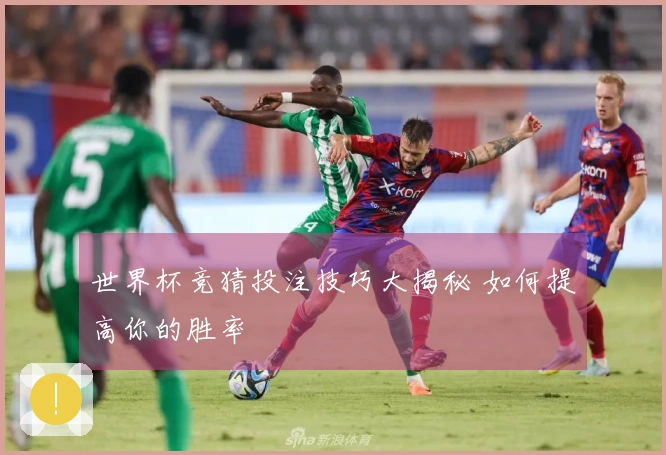 世界杯竞猜投注技巧大揭秘 如何提高你的胜率