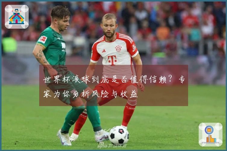 世界杯滚球到底是否值得信赖？专家为你分析风险与收益