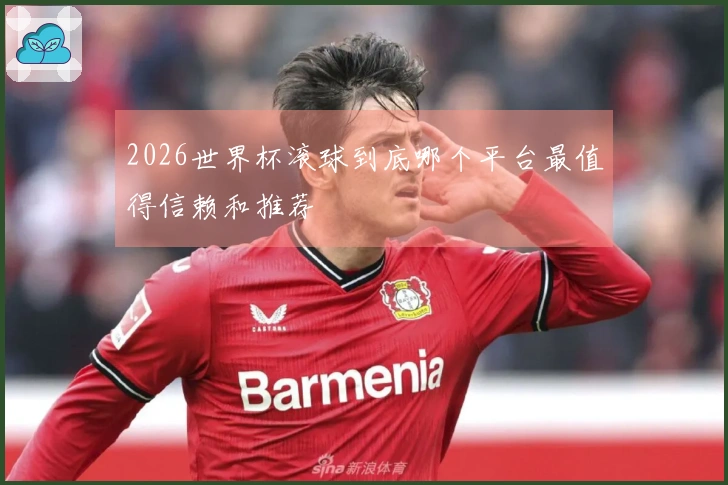 2026世界杯滚球到底哪个平台最值得信赖和推荐