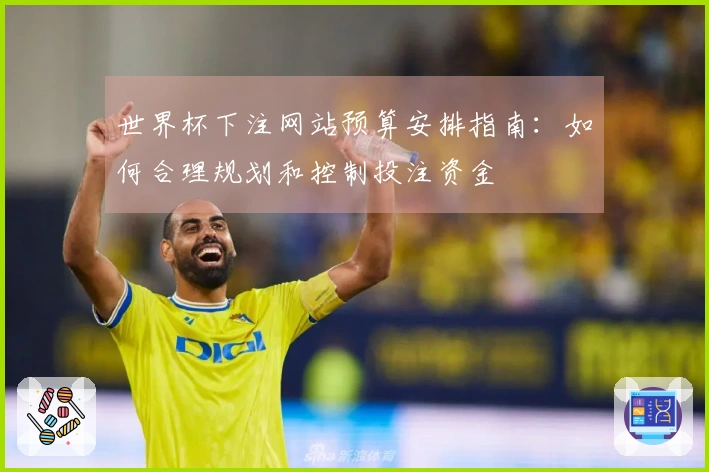 世界杯下注网站预算安排指南:如何合理规划和控制投注资金