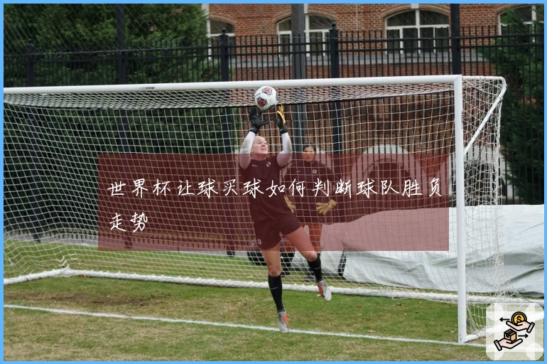 世界杯让球买球如何判断球队胜负走势
