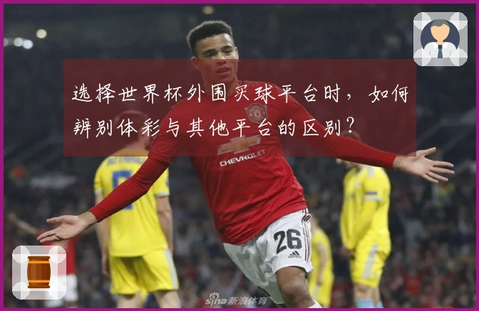 选择世界杯外围买球平台时，如何辨别体彩与其他平台的区别？