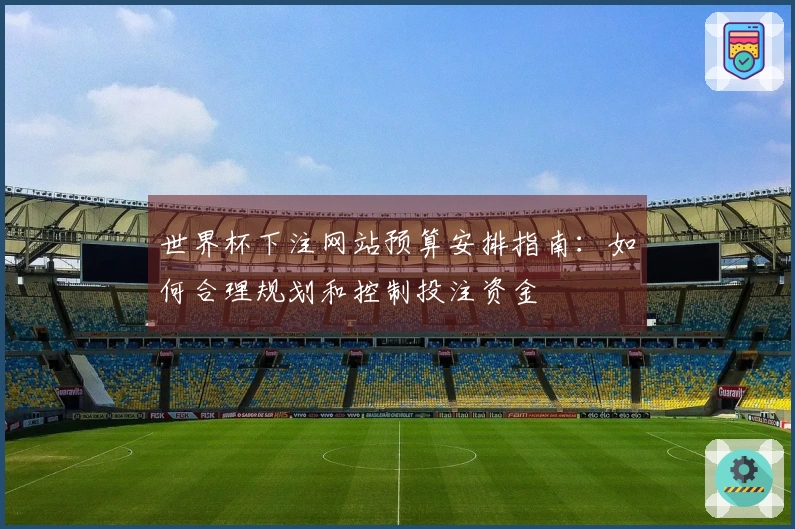 世界杯下注网站预算安排指南：如何合理规划和控制投注资金
