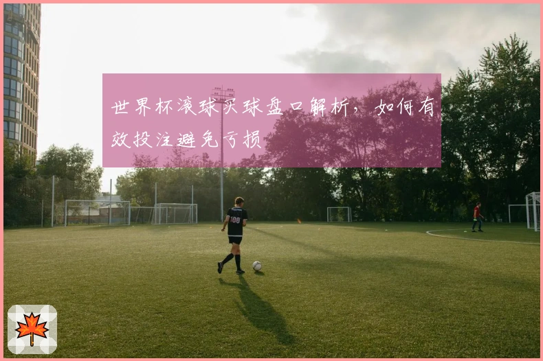 世界杯滚球买球盘口解析，如何有效投注避免亏损