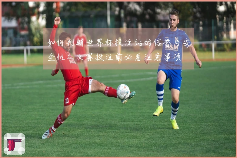 如何判断世界杯投注站的信誉与安全性?决赛投注前必看注意事项