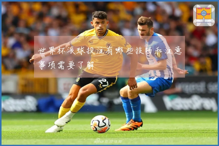 世界杯滚球投注有哪些技巧和注意事项需要了解