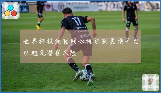 世界杯投注官网如何识别靠谱平台以避免潜在风险