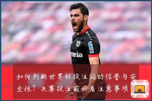 如何判断世界杯投注站的信誉与安全性？决赛投注前必看注意事项
