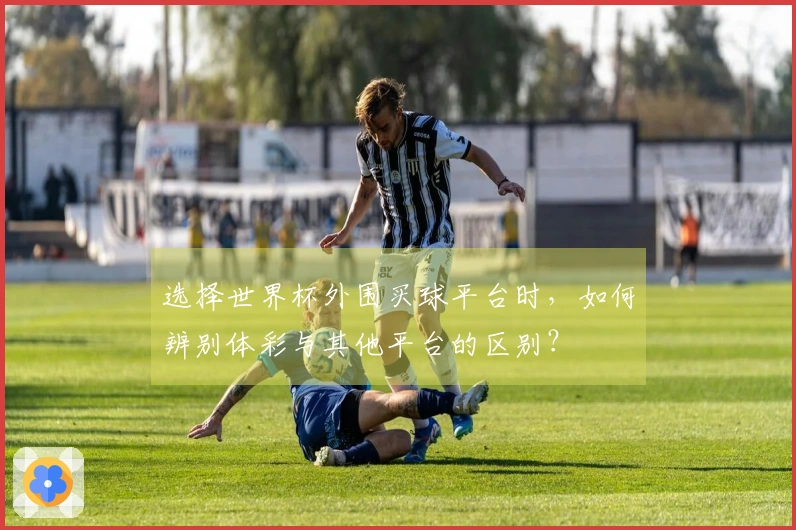选择世界杯外围买球平台时，如何辨别体彩与其他平台的区别？