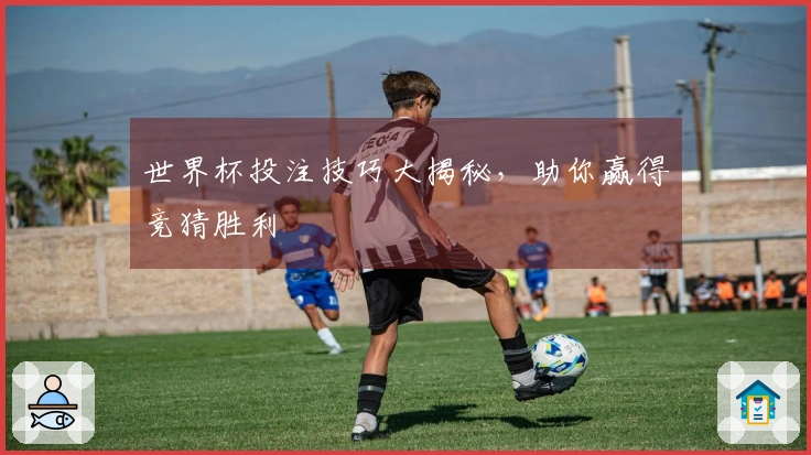 世界杯投注技巧大揭秘，助你赢得竞猜胜利