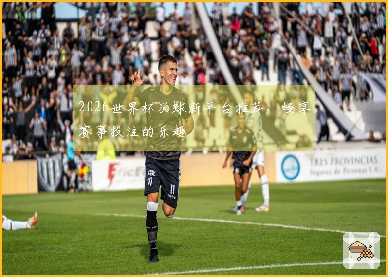 2026世界杯买球新平台推荐，畅享赛事投注的乐趣
