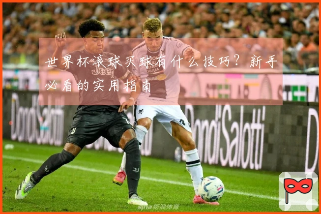 世界杯滚球买球有什么技巧?新手必看的实用指南