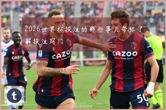 2026世界杯投注的那些事儿带你了解投注窍门