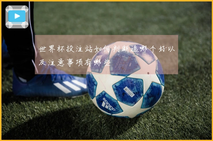 世界杯投注站如何判断选哪个好以及注意事项有哪些